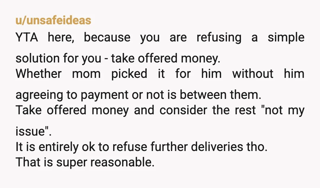 u/Ok_Caterpillar3363 NTA. That’s fair for wanting your brother to pay for it. It’s his stuff. Not yours or your parents. Your parents offering was nice, but it’s not their job...