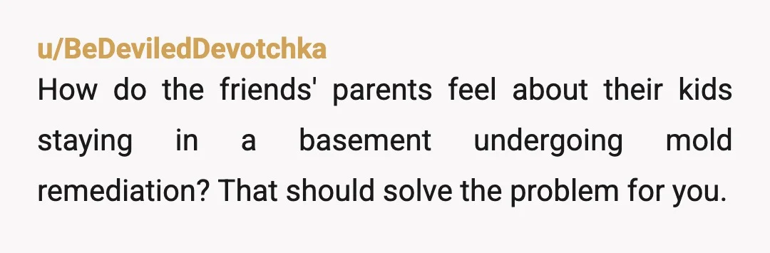 u/BeDeviledDevotchka
How do the friends' parents feel about their kids staying in a basement undergoing mold remediation? That should solve the problem for you.