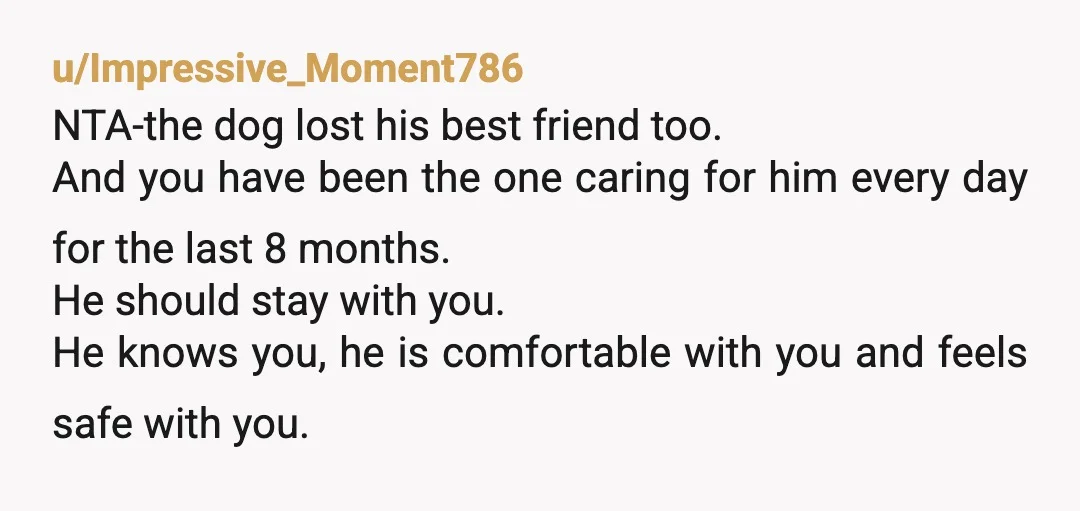 u/Impressive_Moment786 NTA-the dog lost his best friend too. And you have been the one caring for him every day for the last 8 months. He should stay with you. He...