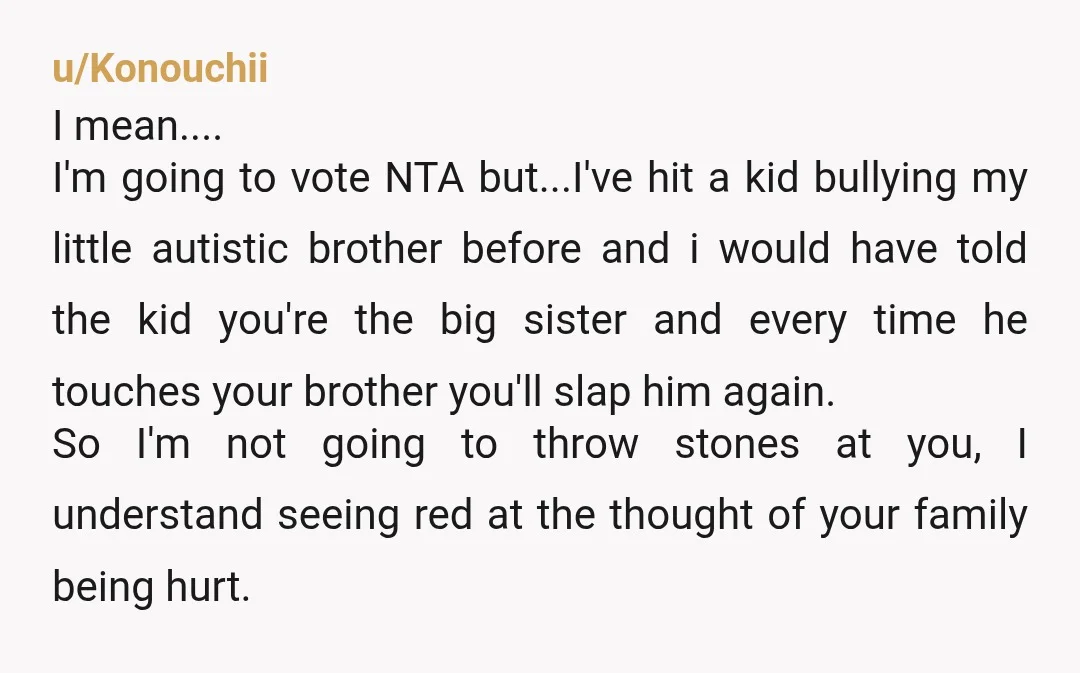 u/Konouchii I mean.... I'm going to vote NTA but...I've hit a kid bullying my little autistic brother before and i would have told the kid you're the big sister and every...