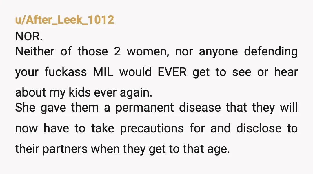 u/After_Leek_1012 NOR. Neither of those 2 women, nor anyone defending your fuckass MIL would EVER get to see or hear about my kids ever again. She gave them a permanent...