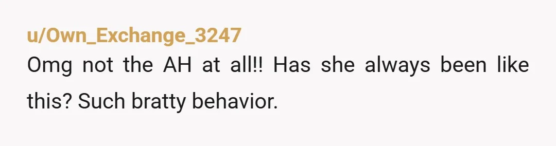 u/SpookyMulder91093 NTA You were being the bigger person the whole time! At what point is it your sister’s responsibility to be grateful for everything you did FOR HER!? She sounds...