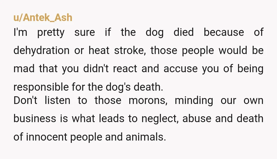 u/Pretty-Flight1440 Always report animal neglect and/or cruelty. Anyone that tells you not to report abuse, neglect, or cruelty is complicit and needs to be avoided. Even if the dog is...