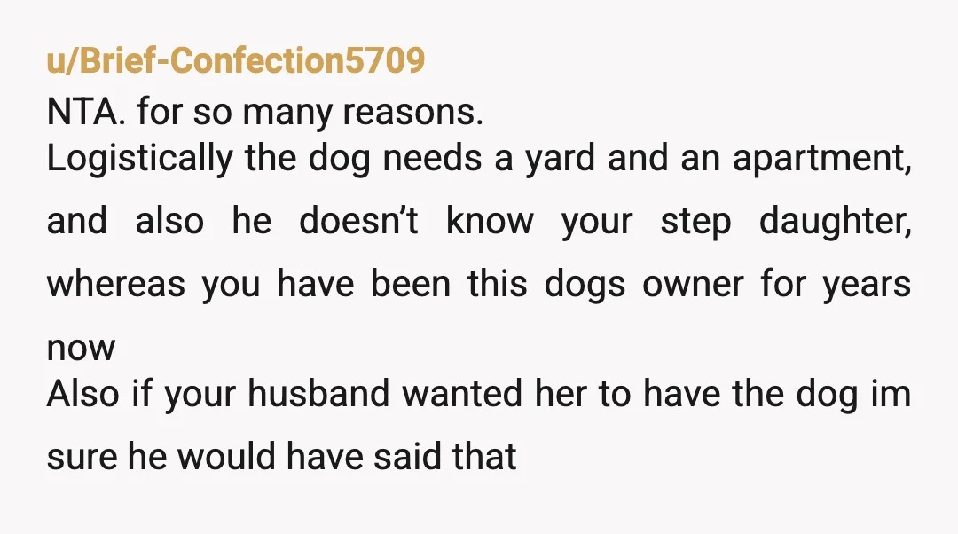 u/Brief-Confection5709 NTA. for so many reasons. Logistically the dog needs a yard and an apartment, and also he doesn’t know your step daughter, whereas you have been this dogs owner...