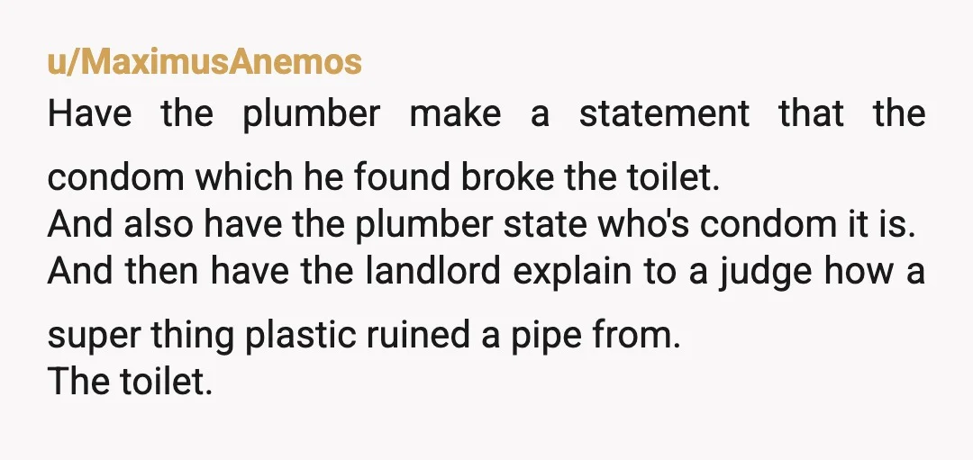 u/therealbananabottom NTA it would still be the landlord's responsibility even if you had flushed a condom. If he wanted to be petty, he would take it out of your security...