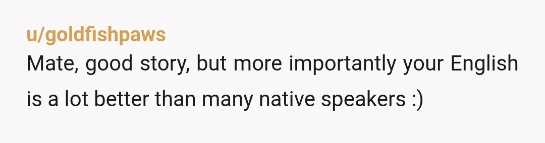 u/pteraclackdyl 1. Excellent malicious compliance. A+ 2. Your written English is practically flawless and requires absolutely no apology. It far exceeds the standards for most native speakers and reads as...