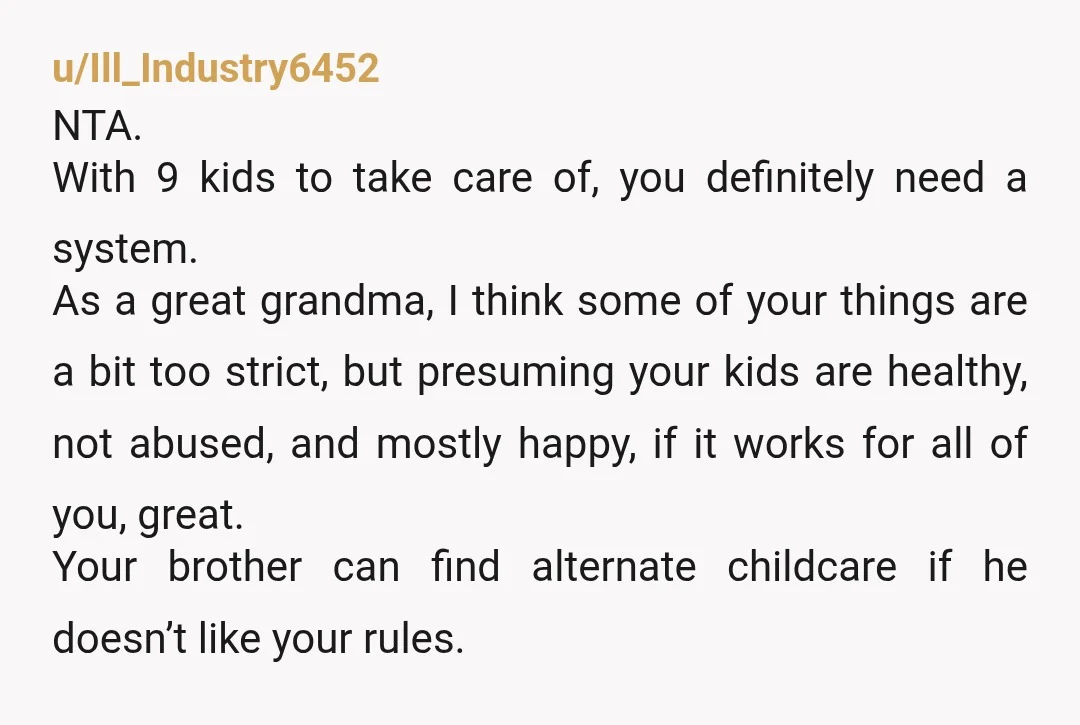 u/Ill_Industry6452 NTA. With 9 kids to take care of, you definitely need a system. As a great grandma, I think some of your things are a bit too strict, but...