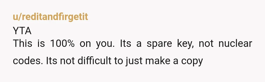 u/reditandfirgetit
YTA
This is 100% on you. Its a spare key, not nuclear codes. Its not difficult to just make a copy
