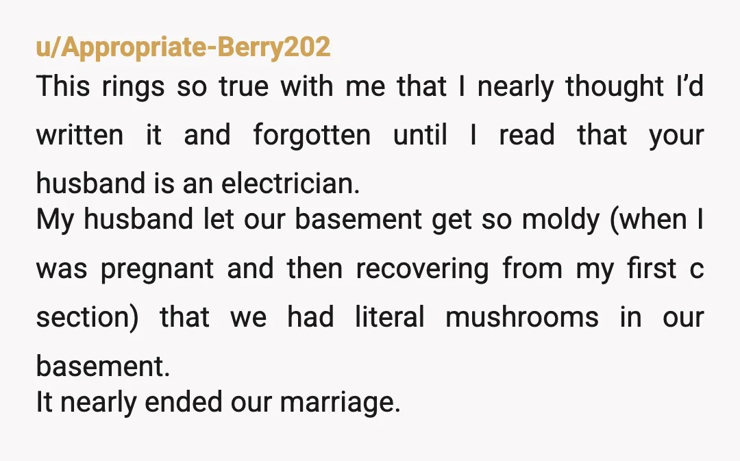 u/Appropriate-Berry202 This rings so true with me that I nearly thought I’d written it and forgotten until I read that your husband is an electrician. My husband let our basement...