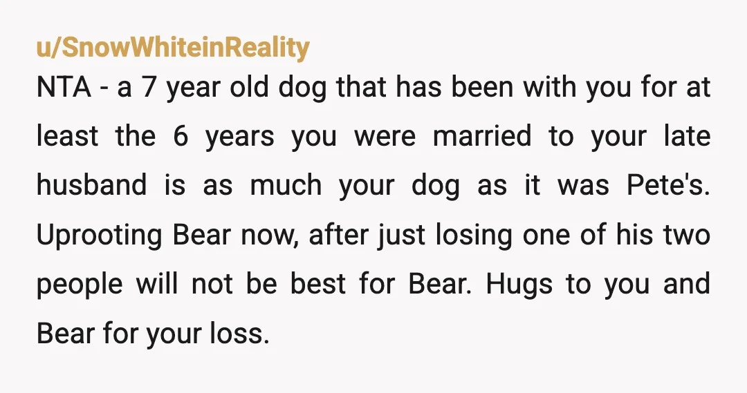 u/No-Introduction3808
NTA how long did you date before you got married? Sounds like he’s had the dog while you were together, and the daughter only saw the dog 14 times.