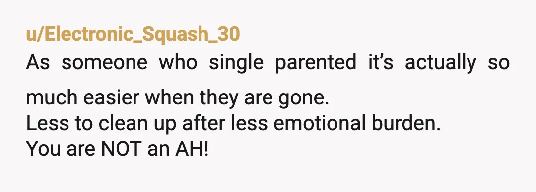 u/Electronic_Squash_30
As someone who single parented it’s actually so much easier when they are gone.
Less to clean up after less emotional burden.
You are NOT an AH!