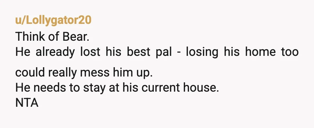 u/Any-Dependent31 NTA as far as your dog is concerned you are his other owner, youve been there for the majority of his life and he barely knows your husbands daughter,...