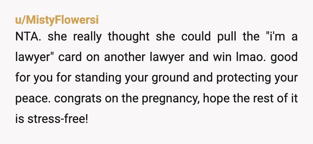 u/MistyFlowersi NTA. she really thought she could pull the "i'm a lawyer" card on another lawyer and win lmao. good for you for standing your ground and protecting your peace....