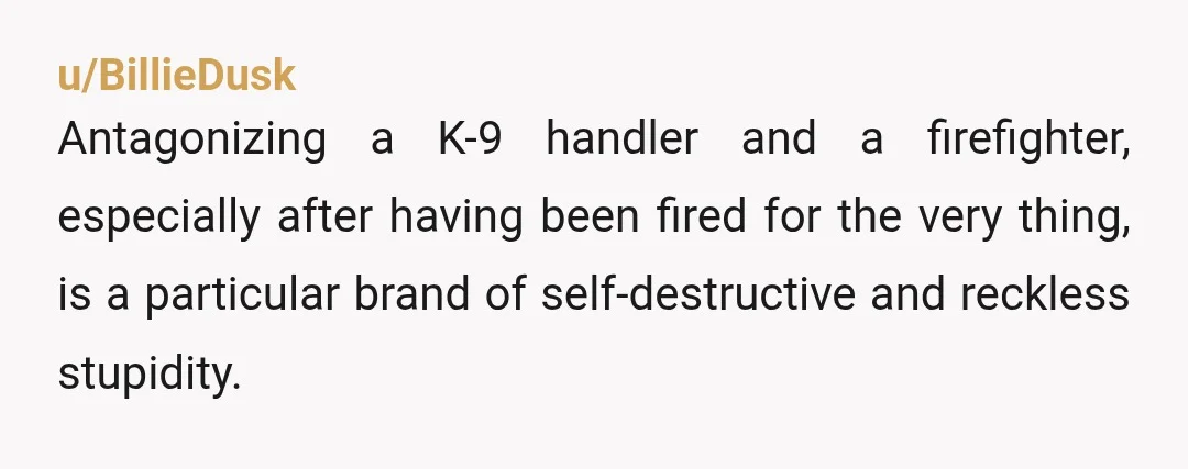 u/BillieDusk
Antagonizing a K-9 handler and a firefighter, especially after having been fired for the very thing, is a particular brand of self-destructive and reckless stupidity.