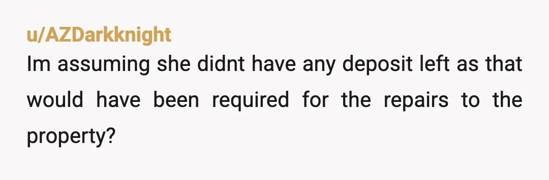 u/AZDarkknight
Im assuming she didnt have any deposit left as that would have been required for the repairs to the property?