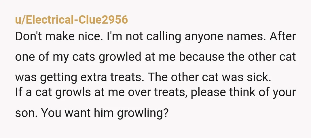 u/Asleep_Library_963 ESH. As someone who was caught in the middle like this as a kid, I kind of see both point of views. The amount of drama between my mom...