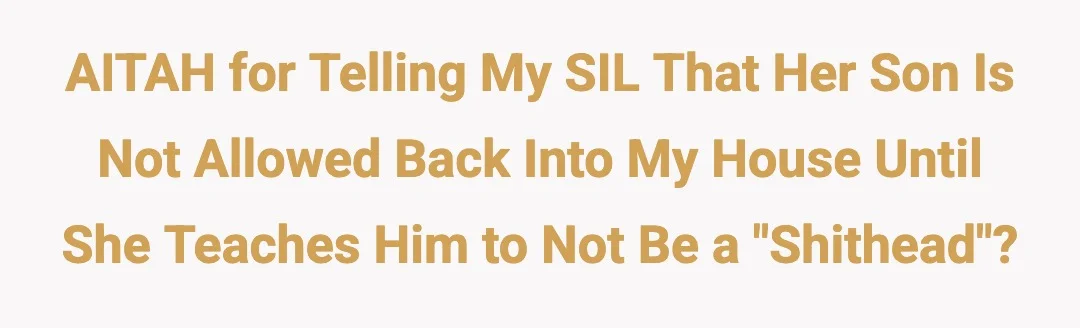 AITAH for telling my SiL that her son is not allowed back into my house until she teaches him to not be a shithead?