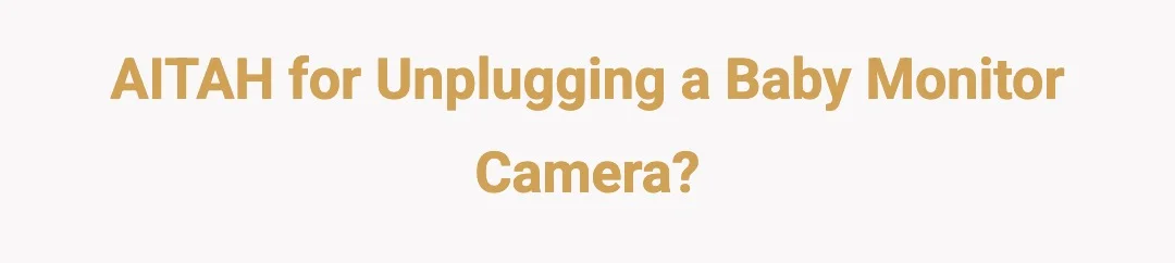AITAH for unplugging a baby monitor camera?