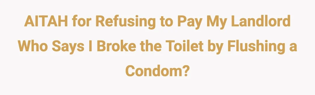 AITAH for refusing to pay my landlord who says I broke the toilet by flushing a condom?