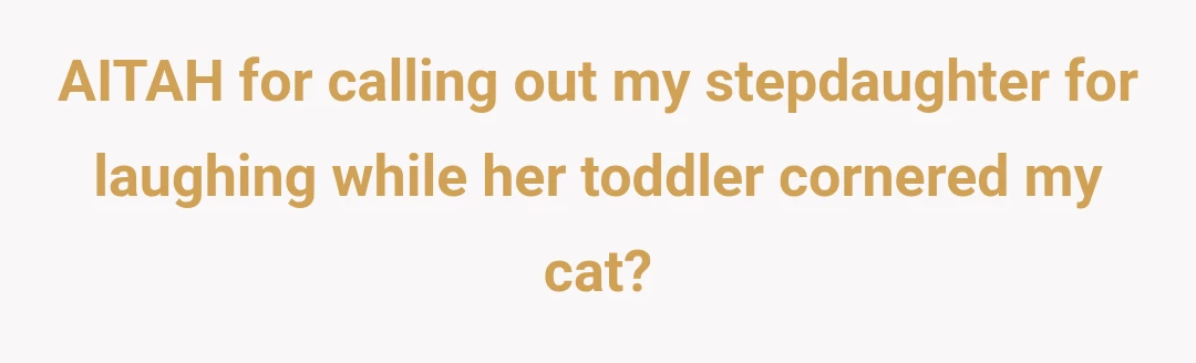 ​AITAH for calling out my stepdaughter for laughing while her toddler cornered my cat?