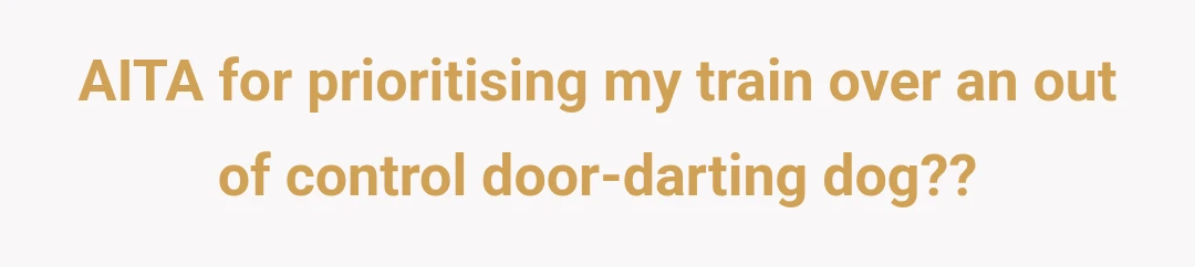 AITA for prioritising my train over an out of control door-darting dog??