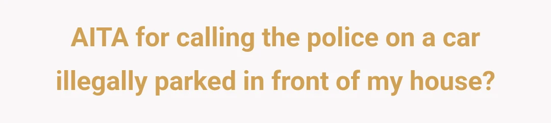 AITA for calling the police on a car illegally parked in front of my house?