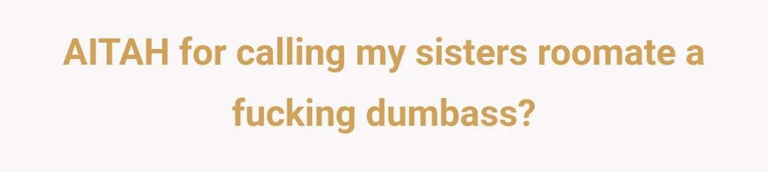AITAH for calling my sisters roomate a fucking dumbass?