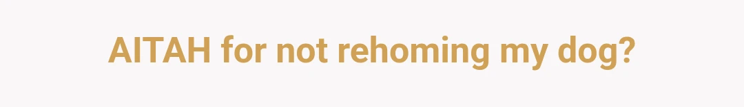 AITAH for not rehoming my dog?