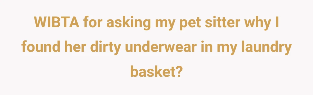 WIBTA for asking my pet sitter why I found her dirty underwear in my laundry basket?