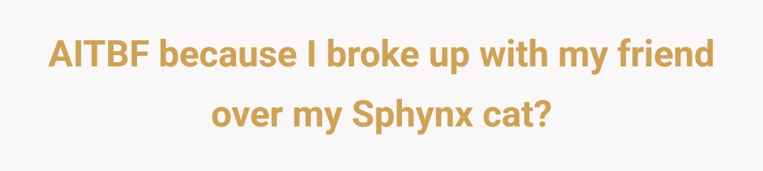 AITBF because I broke up with my friend over my Sphynx cat?