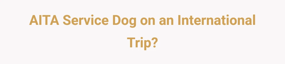 AITA Service Dog on an International Trip?