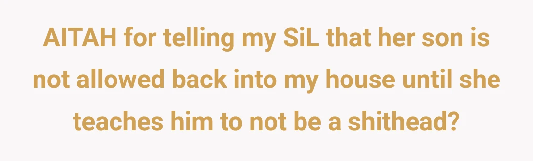 AITAH for telling my SiL that her son is not allowed back into my house until she teaches him to not be a shithead?