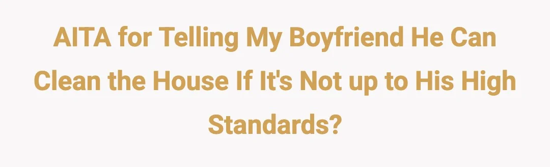 AITA for telling my boyfriend he can clean the house of it's not up to his high standards?