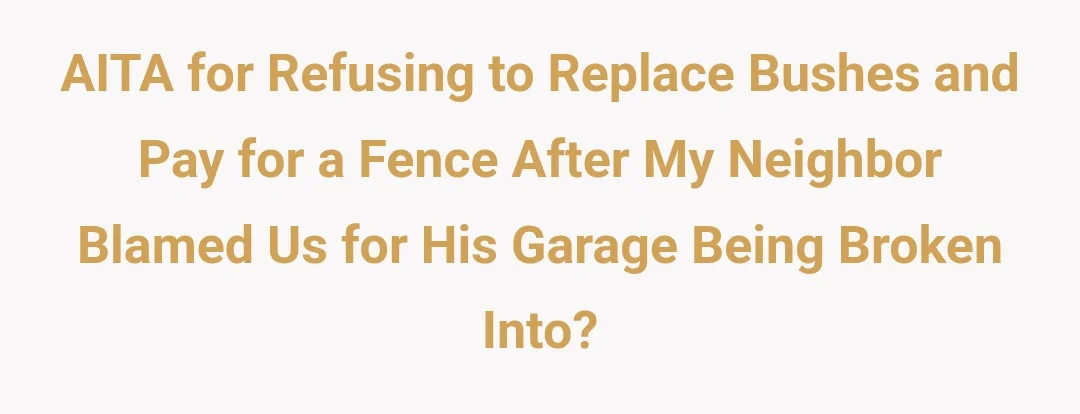 AITA for refusing to replace bushes and pay for a fence after my neighbour blamed us for his garage being broken into?