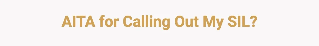 AITA for calling out my SIL?