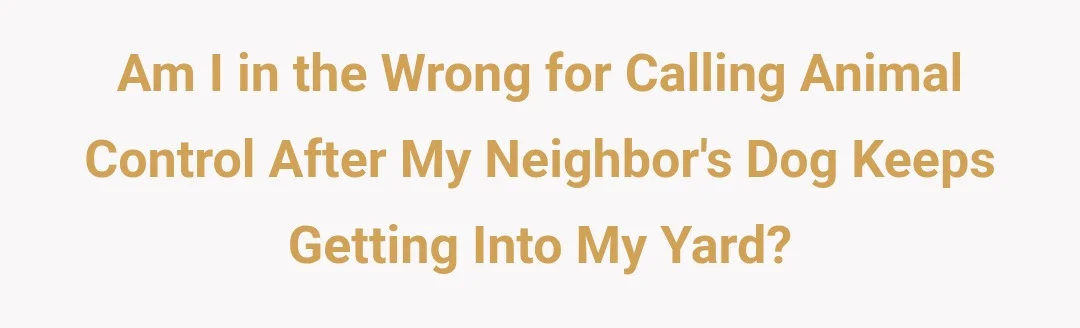 Am I in the wrong for calling animal control after my neighbors dog keeps getting into my yard?