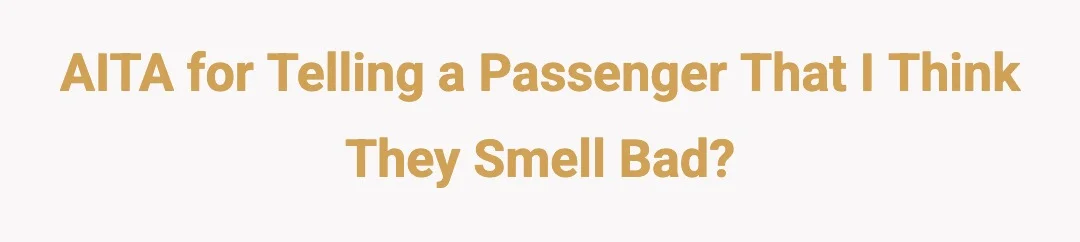 AITA for telling a passenger that I think they smell bad?
